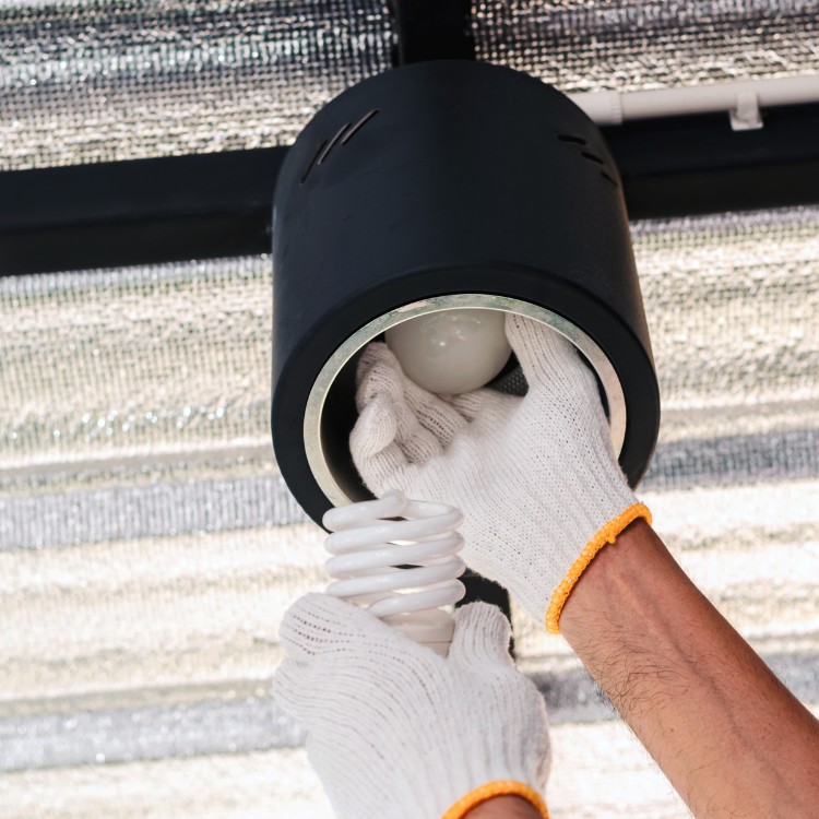 CC Electrical Solutions